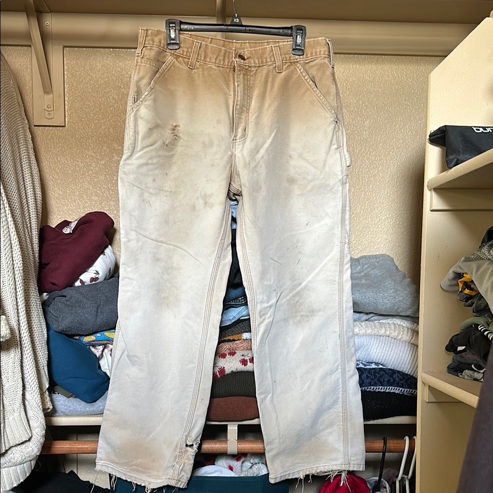 Men's Carhartt Pants